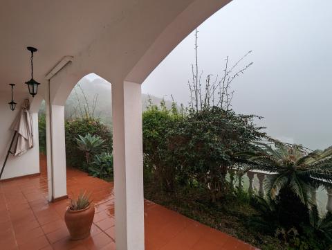 Rain out the front door